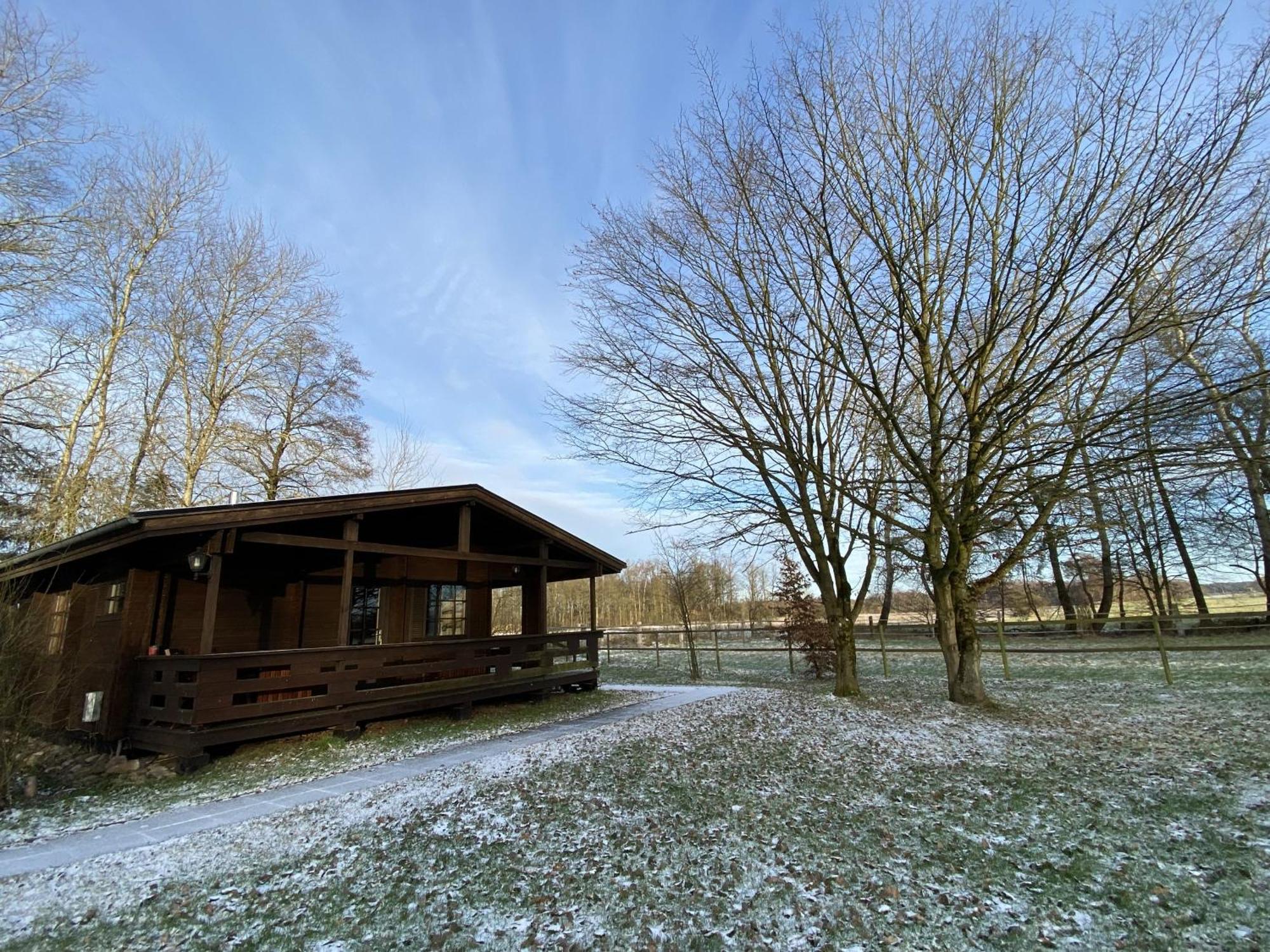 Heidegut Eschede Reitsportanlage Und Feriendorf Kamer foto