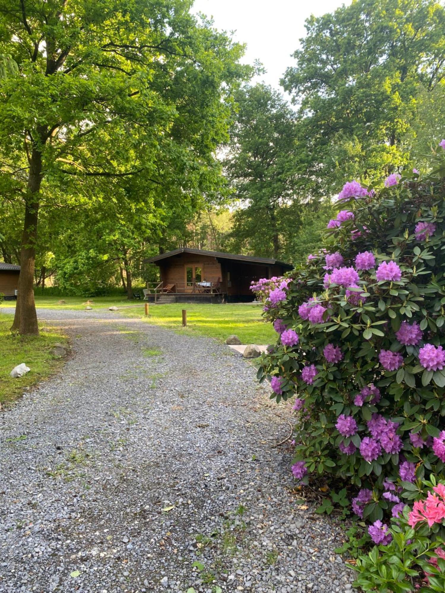 Heidegut Eschede Reitsportanlage Und Feriendorf Buitenkant foto