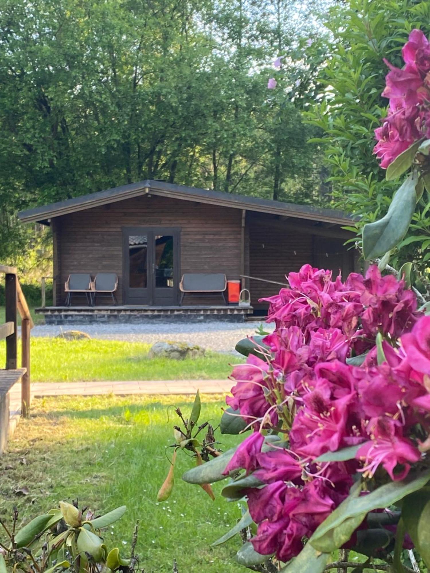 Heidegut Eschede Reitsportanlage Und Feriendorf Buitenkant foto