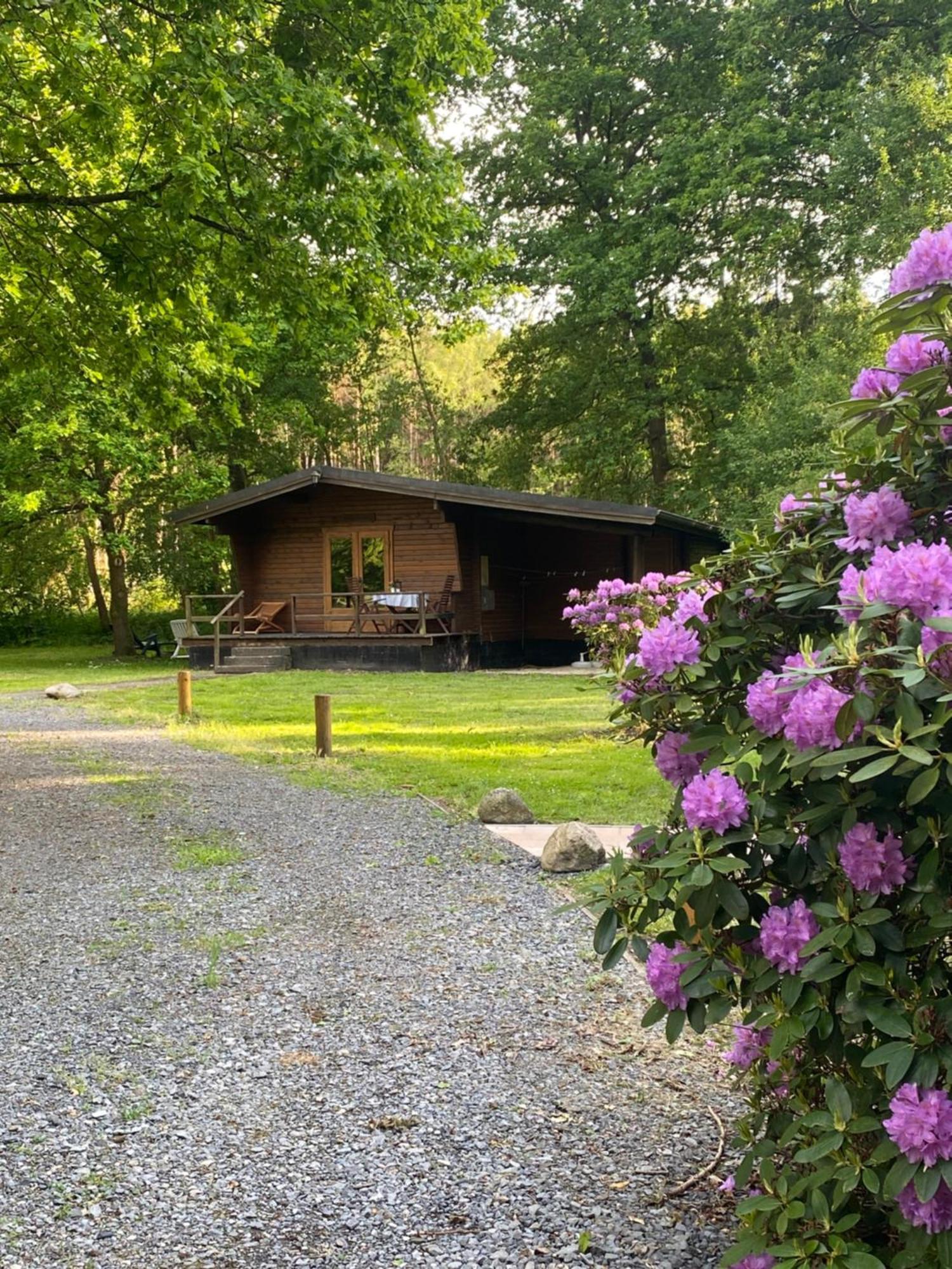 Heidegut Eschede Reitsportanlage Und Feriendorf Buitenkant foto