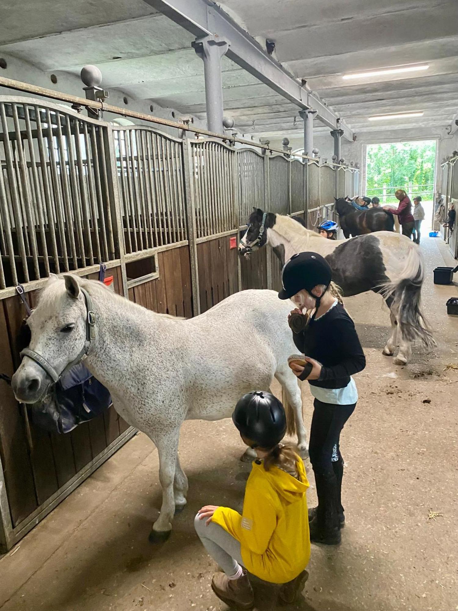 Heidegut Eschede Reitsportanlage Und Feriendorf Buitenkant foto
