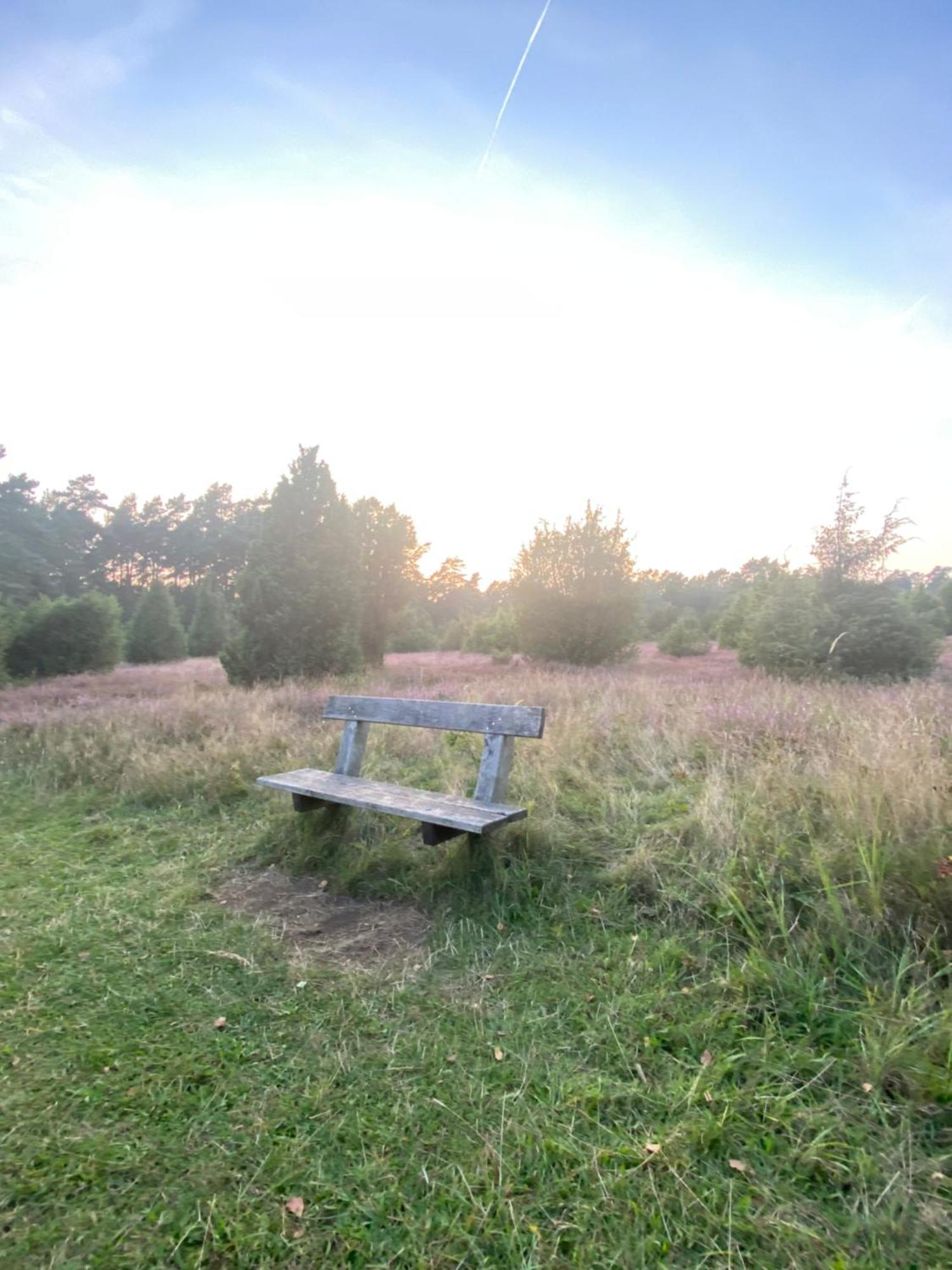 Heidegut Eschede Reitsportanlage Und Feriendorf Buitenkant foto