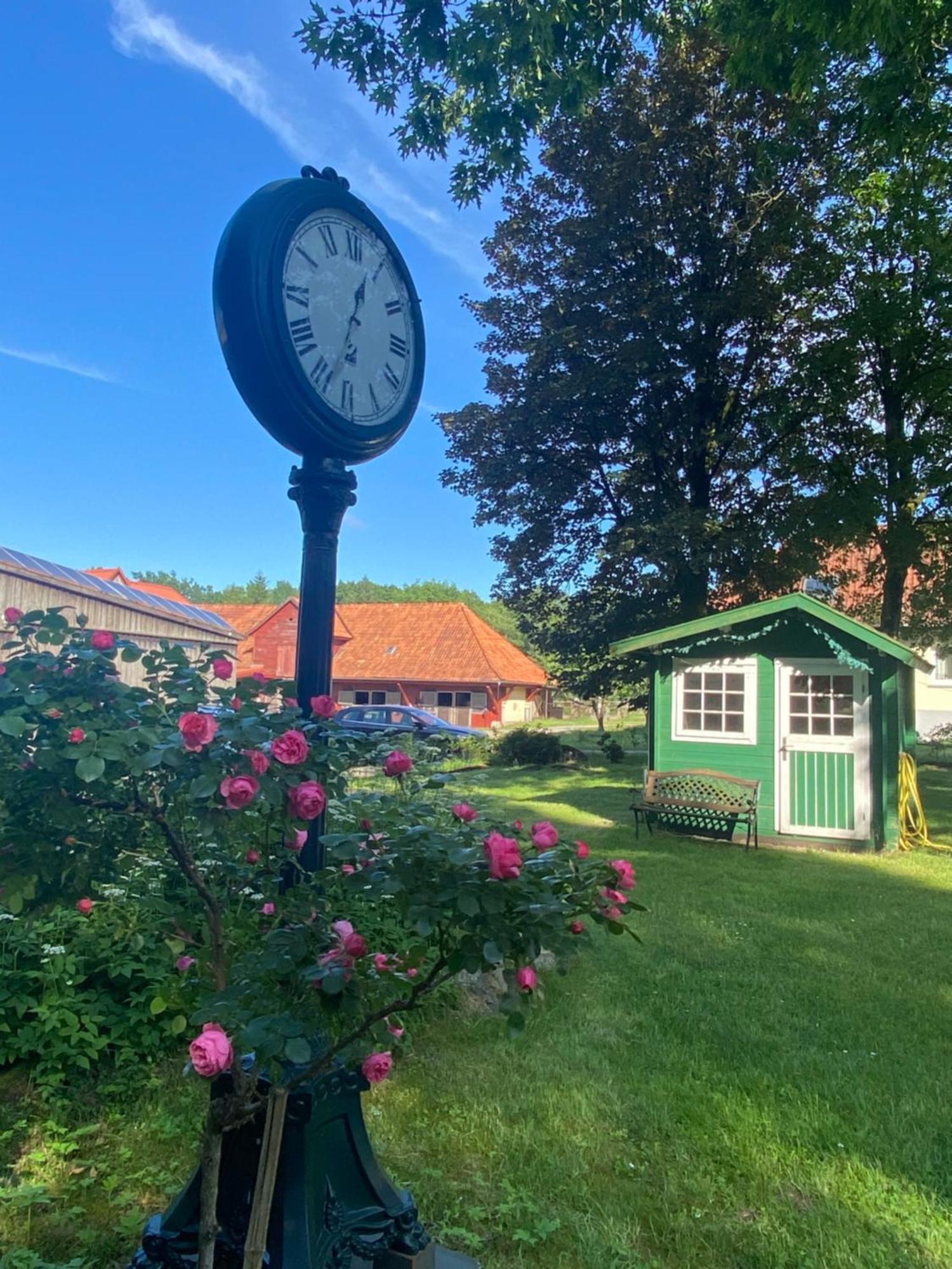 Heidegut Eschede Reitsportanlage Und Feriendorf Buitenkant foto