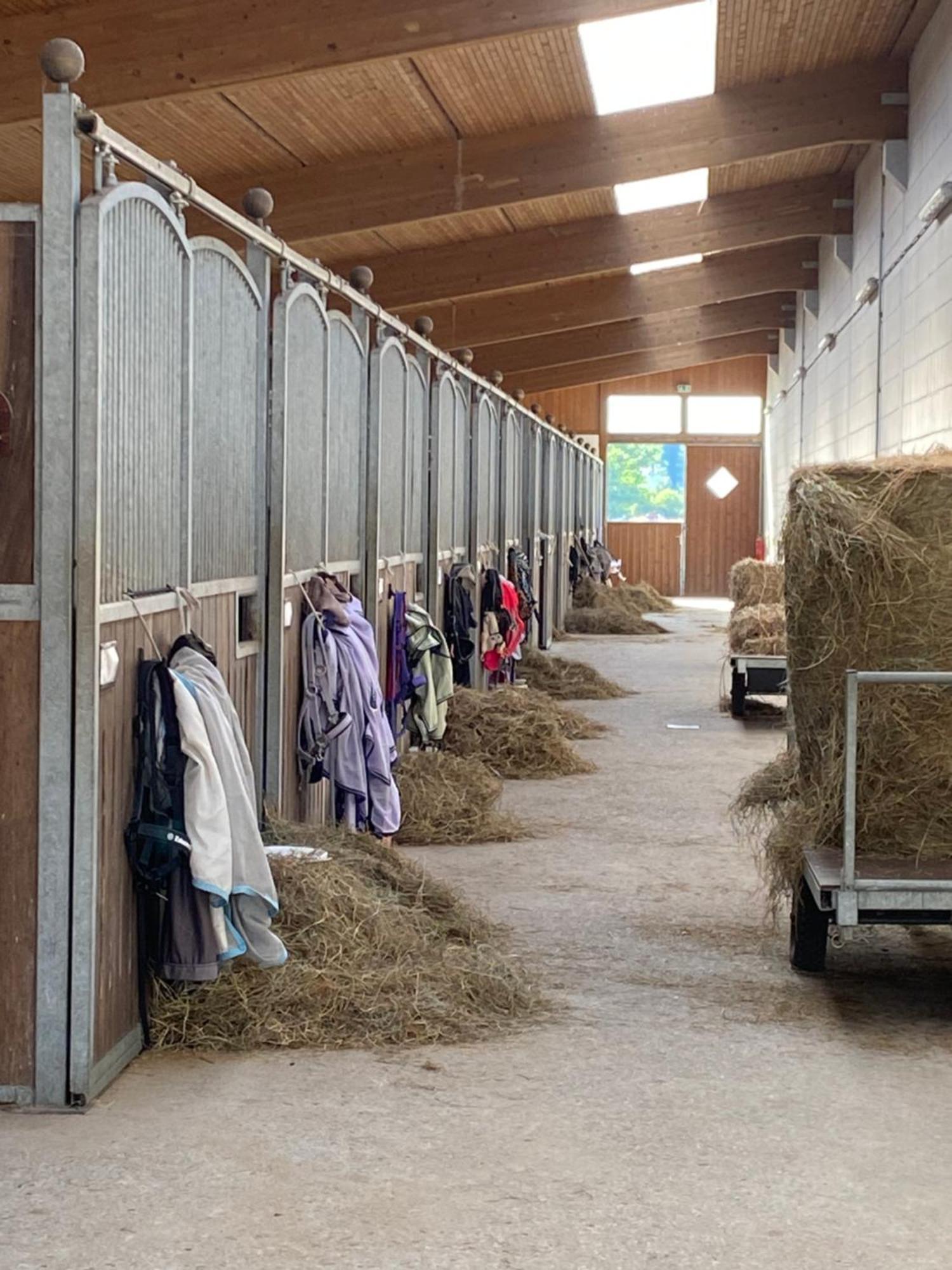 Heidegut Eschede Reitsportanlage Und Feriendorf Buitenkant foto