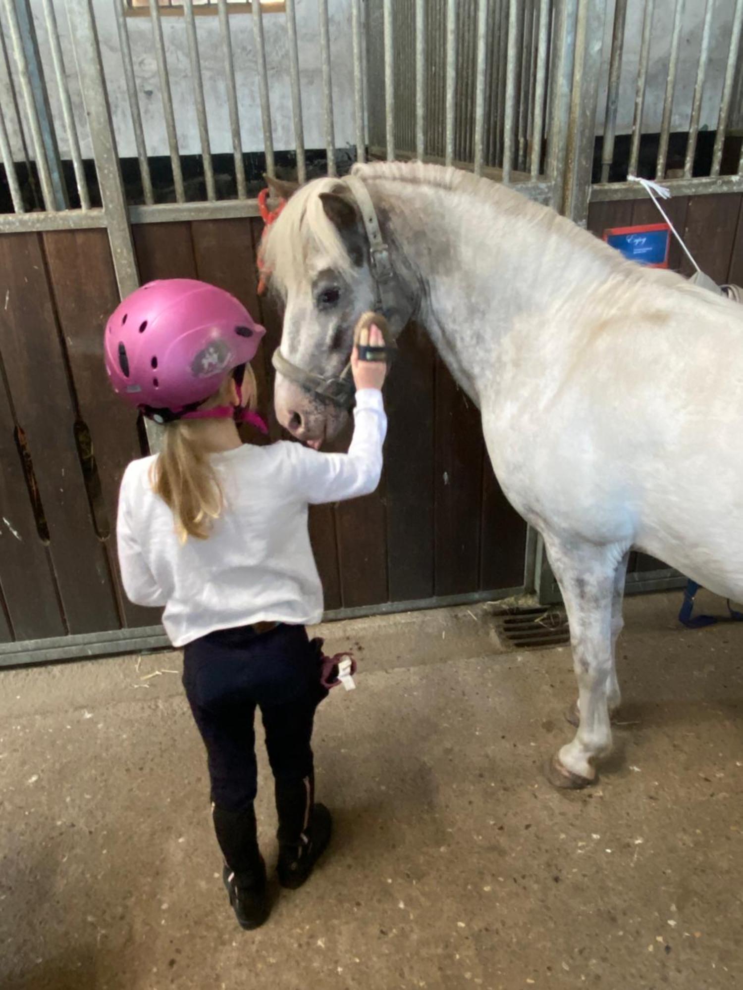 Heidegut Eschede Reitsportanlage Und Feriendorf Buitenkant foto