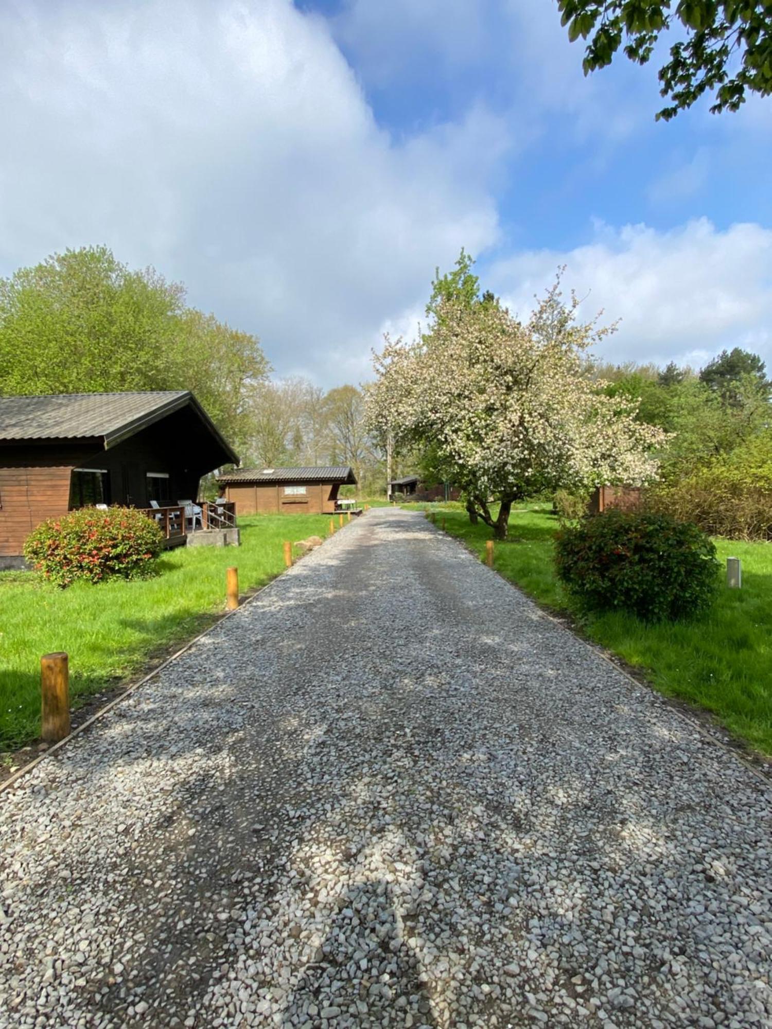 Heidegut Eschede Reitsportanlage Und Feriendorf Buitenkant foto