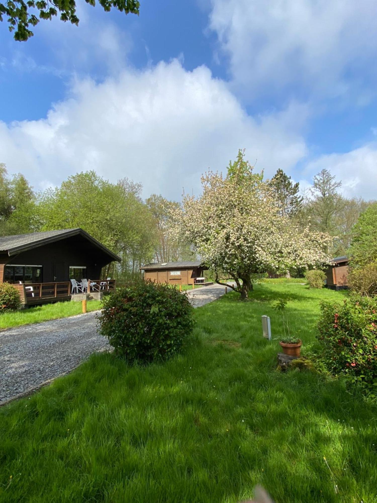 Heidegut Eschede Reitsportanlage Und Feriendorf Buitenkant foto
